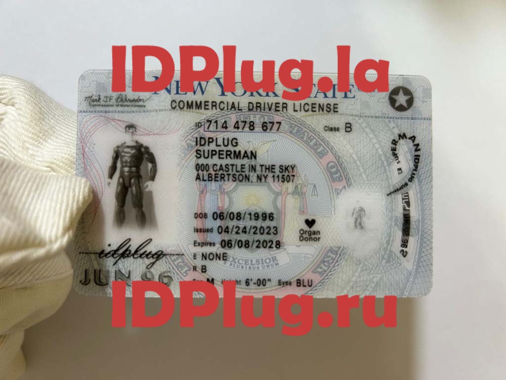 Best ID For Each State! IDplug fakes ids